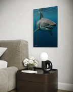 Oceanic Apex Predator