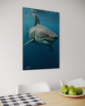 Oceanic Apex Predator