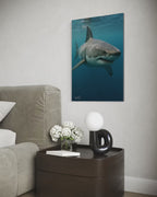 Oceanic Apex Predator